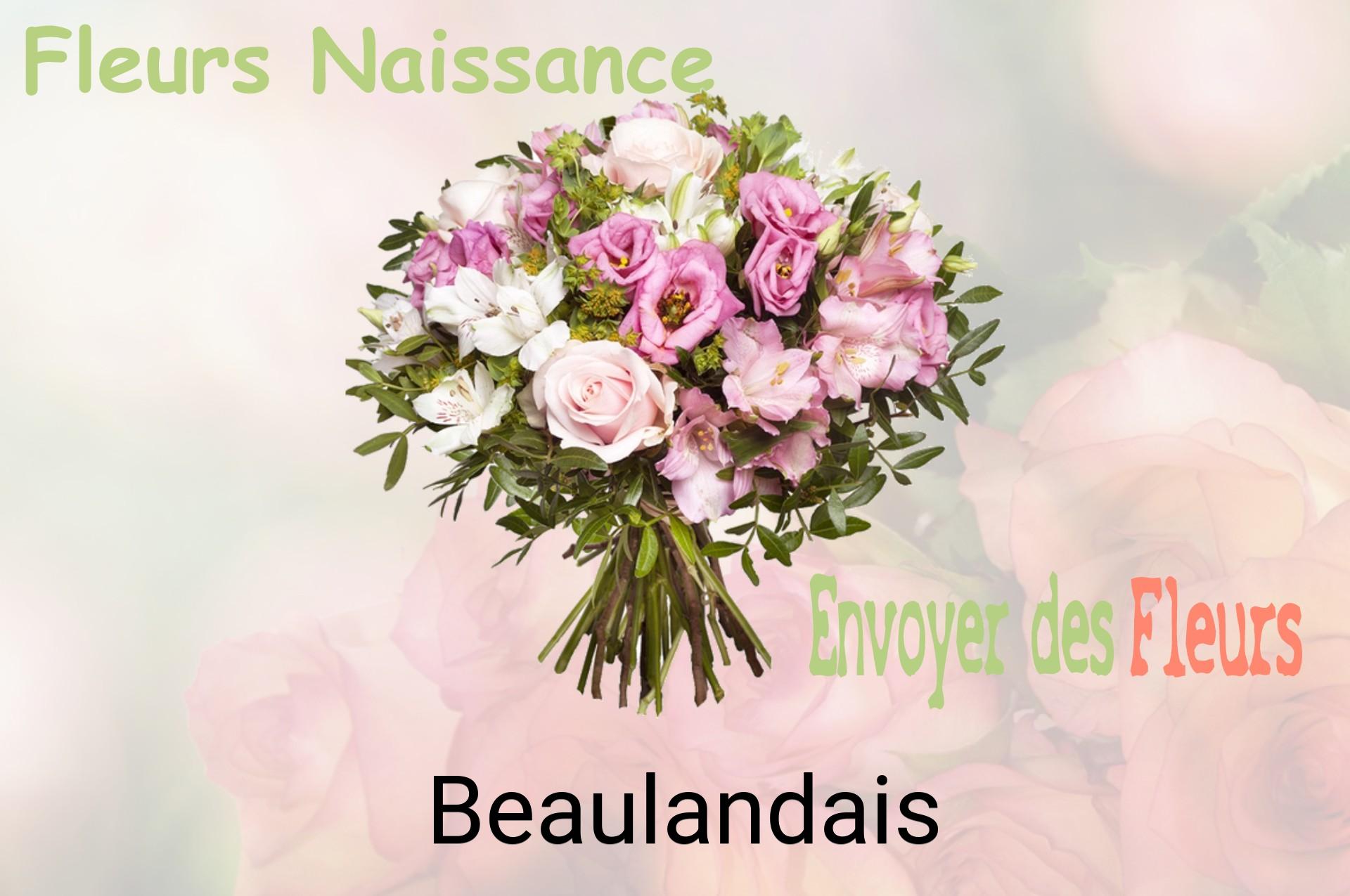 Bouquet de fleurs de naissance livré à Beaulandais